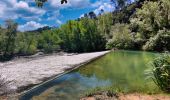 Trail Walking Châteauvert - SityTrail - Valon Sourm- Vallon des Baumes - Photo 20