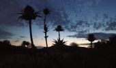 Trail Walking Remoulins - soubeyranne nocturne 2  - Photo 7