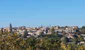 Percorso Marcia La Garde-Adhémar - grade delmar - Photo 9