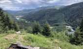 Tour Wandern Sewen - Sewen-Baerenbach-Abri Schalling Hütte - Photo 1