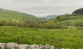 Tour Wandern Saint-Chély-d'Aubrac - Étape 3 Saint Gilhem  - Photo 5