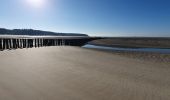 Tocht Stappen Berck - Berck - baie d'Authie - Photo 3