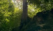 Trail Horseback riding Vigy - 2024-07-18_100557.gpx - Photo 10