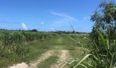 Randonnée Trail Anse-Bertrand - Anse Bertrand  - Photo 1