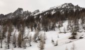 Trail Snowshoes Saint-Martin-d'Entraunes - Col des Champs  - Photo 3