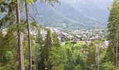 Randonnée Marche Chamonix-Mont-Blanc - Chamonix départ parking du Biolay derrière cimetière  - Photo 6