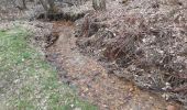Trail Walking Spa - grand tour de la fagne depuis Malchamps - Photo 1