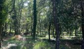 Trail  Vence - La sine 06. 1 - Photo 1
