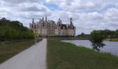 Percorso Marcia Chambord - Chambord-Rond point François 1° - Photo 3