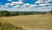 Percorso Mountainbike Virton - Ruette  -  Balade_VTT_14kms - Photo 1