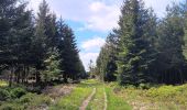Randonnée Marche Jalhay - Solwaster sud - balade losange jaune - Photo 8