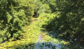 Trail Walking Sion-les-Mines - 09.07.2019 - de SION les MINES à ST AUBIN DES CHÂTEAUX  - Photo 1