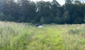 Randonnée Marche Oigny-en-Valois - en forêt de Retz_86_les Laies de la Poudrerie et de la Fosse aux Demoiselles - Photo 10