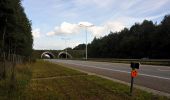 Tour Zu Fuß Maasmechelen - Kikbeekbron Blauwe ruit - Photo 7