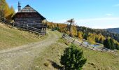 Tour Zu Fuß Albeck - Speikkofel - Photo 1