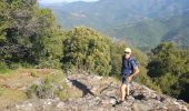Trail Walking Serriera - Serierra  Ota - Photo 11