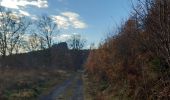 Tour Wandern Lierneux - lierneux . promenade aérienne dans la vallee de la lienne - Photo 18