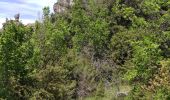 Trail Walking La Roque-Sainte-Marguerite - Roquesalte depuis la roque st marguerite - Photo 4