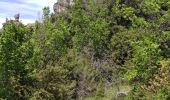 Tocht Stappen La Roque-Sainte-Marguerite - Roquesalte depuis la roque st marguerite - Photo 4