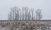 Tocht Stappen Kortessem - Vliermaal  - Photo 4