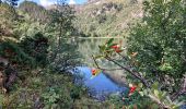 Tocht Stappen Mijanès - Lacs de Mijanès par Lac de Balbonne - Photo 3