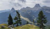 Tocht Stappen Cortina d'Ampezzo - Tofana di Rozes et refuge Giussani  - Photo 1