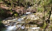 Tour Wandern Saint-Vincent-de-Mercuze - Cascades de l'Alloix - Photo 15