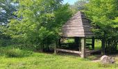 Randonnée Marche Sprimont - dans les bois au nord de Banneux - Photo 13