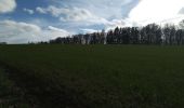 Trail Walking Sentheim - Autour des quatres villages - Photo 4
