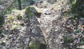 Trail Walking Thouars - randonnée cascade de pommier PR10 - Photo 7