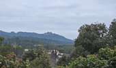 Tour Wandern Les Matelles - Matelles_St-Jean-de-cucules - Photo 16