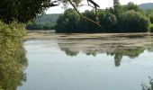 Tour Wandern Osselle-Routelle - Osselle sablière - Photo 10