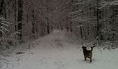 Percorso A piedi Göppingen - Eislinger Rundwanderweg Nord E4 - Photo 1