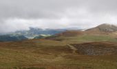 Tocht Stappen Chambon-sur-Lac - Col de la croix Morand - Puy  Sancy  - Photo 8