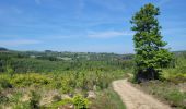 Tocht Stappen La Roche-en-Ardenne - rando samrée 30-05-2023 - Photo 15