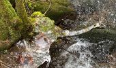 Trail Walking Le Tholy - Les 2 cascades du Tendon (grand tour) - Photo 12