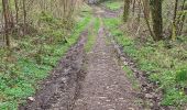 Trail Walking Andenne - Seilles ( balade du chant des oiseaux) - Photo 8
