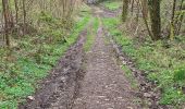 Tocht Stappen Andenne - Seilles ( balade du chant des oiseaux) - Photo 8