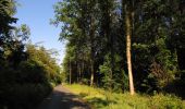 Tour Wandern Choisy-au-Bac - en forêt de Laigue_7_06_2020_sur les routes de la Fontaine à Baril_Belle Assise_Plessis-Brion_chemin de Voie d'Eau - Photo 7
