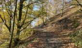 Trail Walking La Louvière - Saint-Vaast / Terrils / 2020-11-03 / 15 km - Photo 12