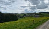 Trail Walking La Roche-en-Ardenne - Beausaint - Photo 9