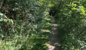 Trail Walking Rieux-Volvestre - La Garonne rieux Volvestre dans le 31 - Photo 1