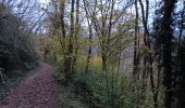 Trail Walking Aywaille - de Tlff à Sur le Tige -  autour du bois de Warnoumont - Photo 3