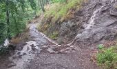 Trail Walking Spa - roche plate . pavillon Hesse . thermes . parc des 7 heures - Photo 6