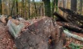 Tour Wandern Echternach - mullerthal e1 - Photo 13