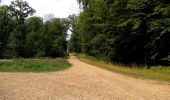 Trail Walking Montgobert - en forêt de Retz_83_les Champs Mentard_le Fond d'Argent - Photo 7