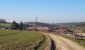 Tocht Stappen Rosoy - La Charbonnière 230214 - Photo 2