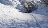 Tocht Sneeuwschoenen Bessans - vincendiere averole - Photo 3