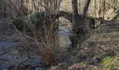 Trail Walking Courgoul - 9568344-Gorges de Courgoul et le sentier du loup - Photo 4