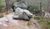 Tocht Stappen Fontainebleau - Fontainebleau Circuit PR Sentier Denecourt 5 - Photo 10